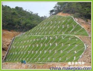 鹽城護(hù)坡土工網(wǎng)產(chǎn)品促銷(xiāo)精選圖集與泰安鑫海PE膜專(zhuān)業(yè)解析