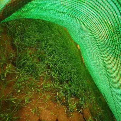 長(zhǎng)治三維土工網(wǎng)墊實(shí)業(yè)集團(tuán) 以高品質(zhì)格柵產(chǎn)品引領(lǐng)工程材料革新